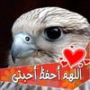 moneir.aboamro