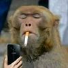 joseph_lilbull