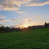 firen_3