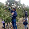 estarlinovalles28