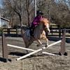 katiebugt_equestrian