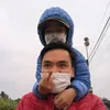 daihai_tb17
