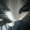 coffeexwm