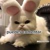 tu_.gatito_.y_.gatita
