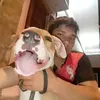 cheloduarte2