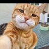 nerusskii5