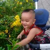 thaovo8296