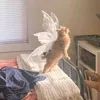 whyfeel0