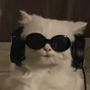 yakult6697