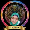 pengejarbayang007