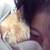 shsrn
