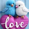 usernames_1234561