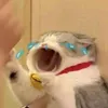tetnecacbon