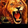 dy19iunxl9kq