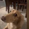 probablydone