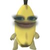 n1n4_1