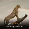 abukhaled.mo