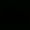 ailurophaile7