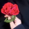 zainabfalah208
