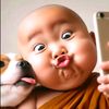 exclusive_pig