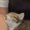 piipskayy
