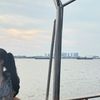 lianaputri506