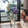 thinguyet580