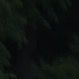 sk36890