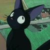 kiy4uuu_