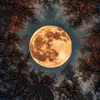 mariam_12.1