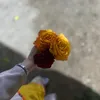 samabahgat7