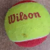 pablotorness