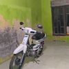 nrshid02