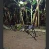 alfian.sidiq18