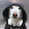 tazoshi