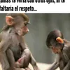 antoniomoscuogmail.com