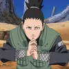 shikamaruuuu