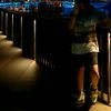 lwong_238