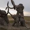 wovkinadocha