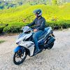 apitadenan_
