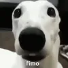 cc.zane