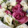 nedalahmed177