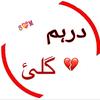 darhum_gulli_36