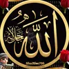 Mujahid Sharfee27