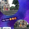 dommelnieva275