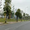pham_phuong94