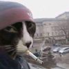 danielgood72