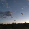 xiixiixiix69