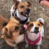 milo.lyla.logan