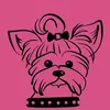 petdeluxee